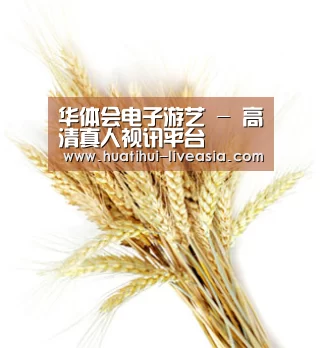 华体会电子游艺 - 高清真人视讯平台