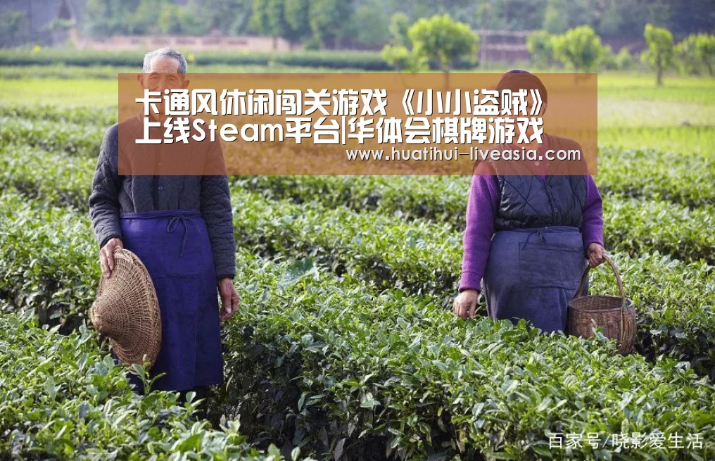 华体会棋牌游戏