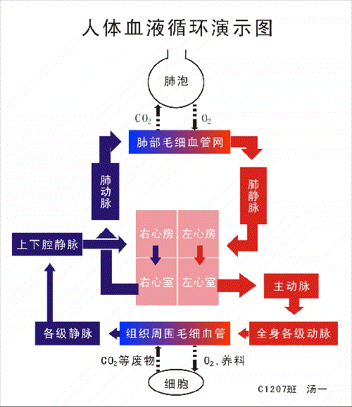 ‘华体会电子游艺’绿军主帅大赞罗齐尔 字母哥:我们是更好的球队(图3) 华体会捕鱼